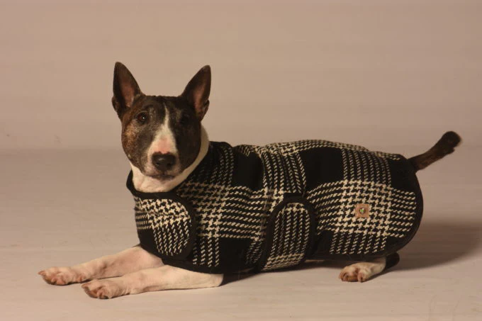 CHILLY DOG | Black & White Plaid Coat - Image 2