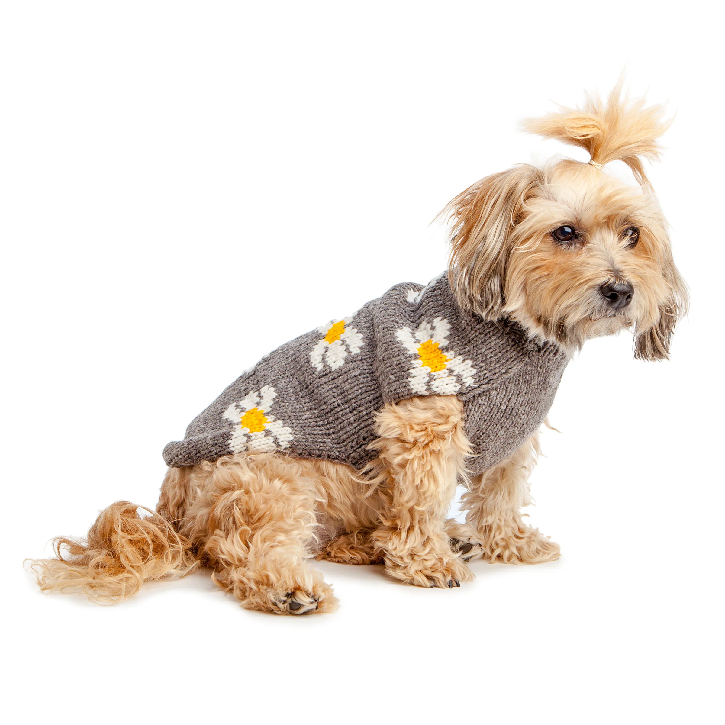 Daisy Wool Knit Dog Sweater << FINAL SALE >> - Image 5