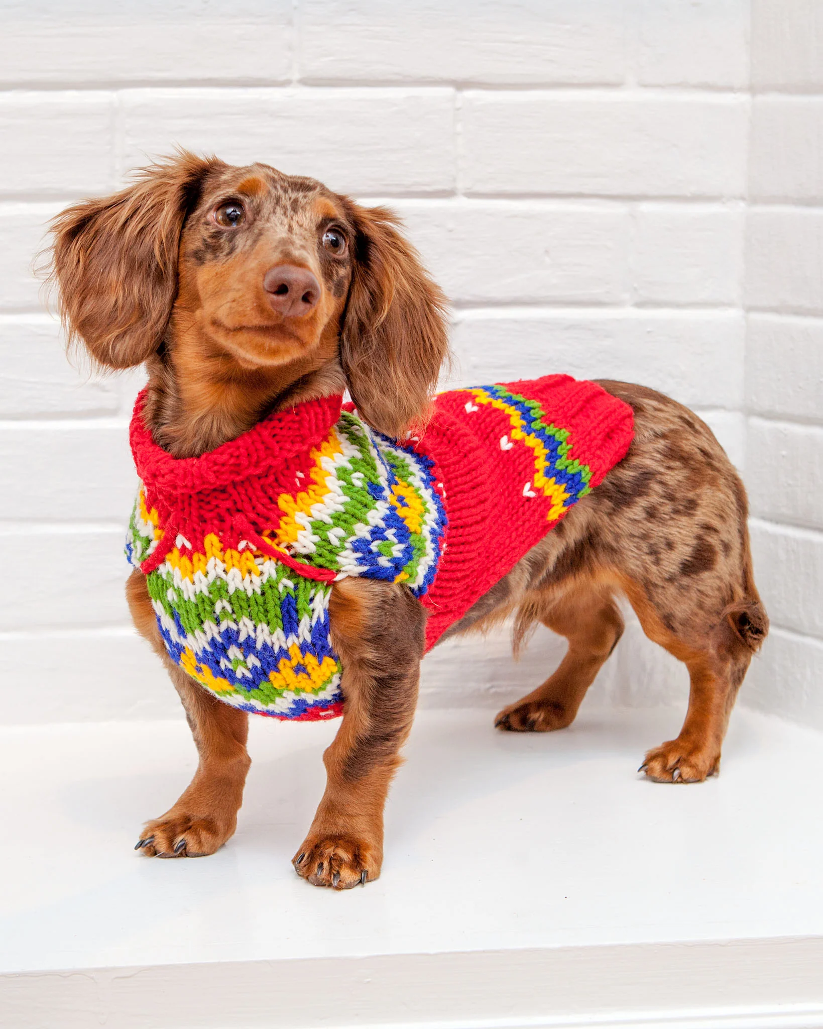 Festive Fairisle Dog Sweater << CLEARANCE >> - Image 4