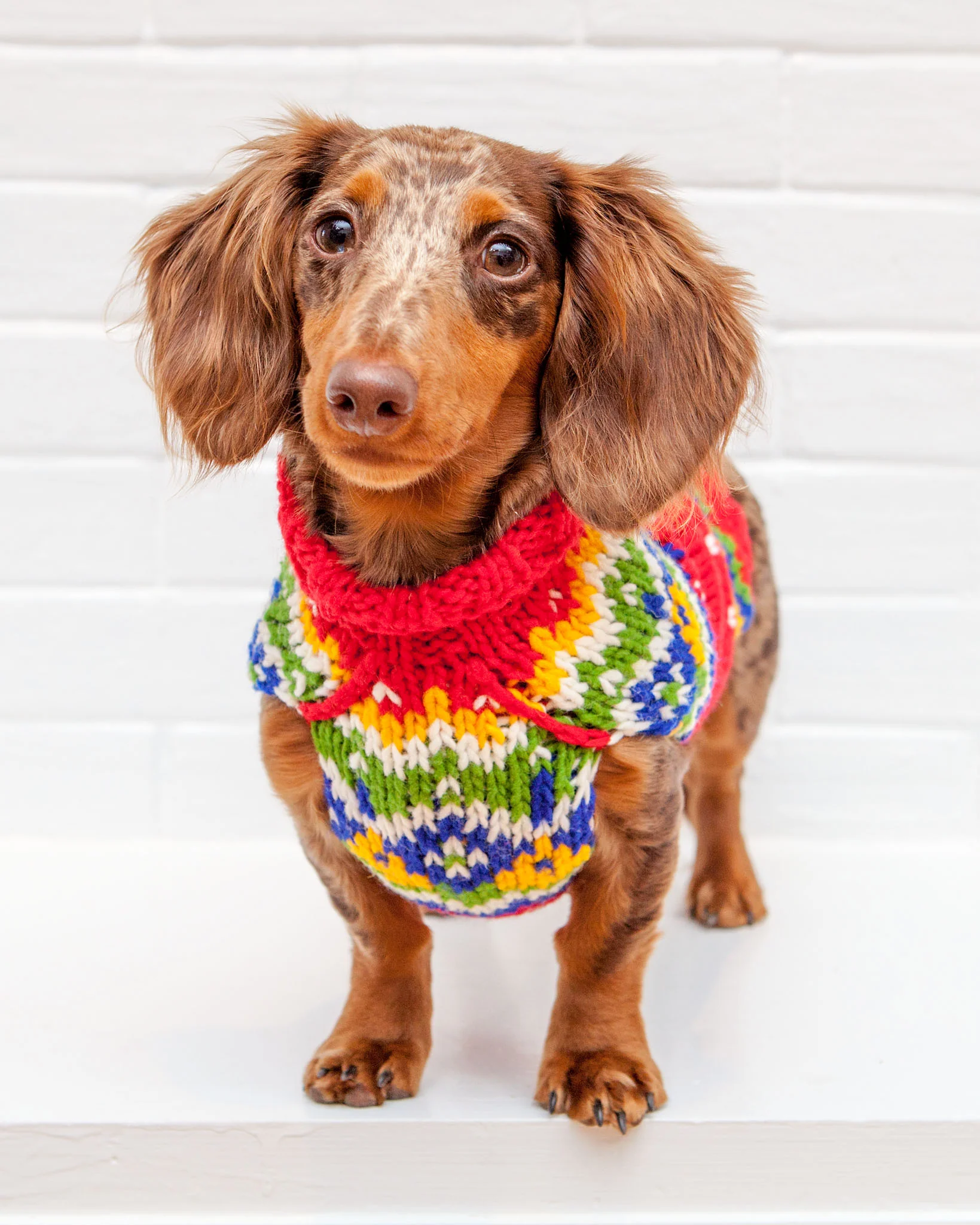 Festive Fairisle Human Sweater << FINAL SALE >> - Image 4