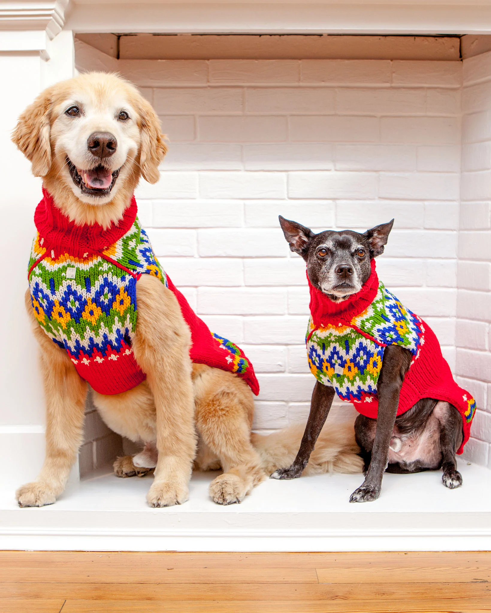 Festive Fairisle Human Sweater << FINAL SALE >> - Image 5