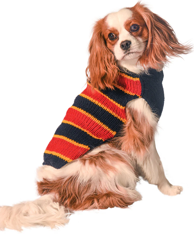 CHILLY DOG | Rugby Sweater