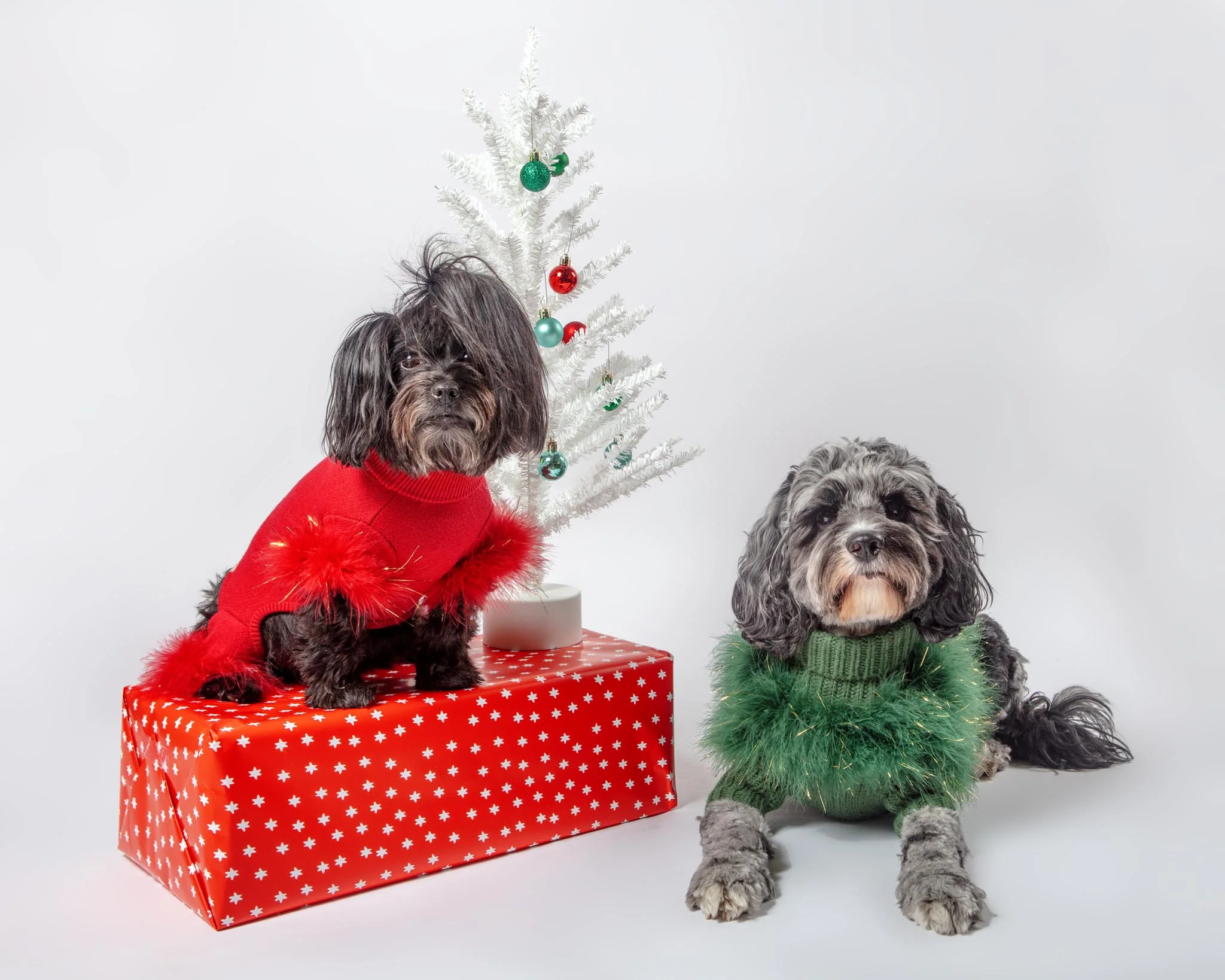 Christian Cowan Holiday Glitz Jumper Dog Sweater (FINAL SALE) - Image 3