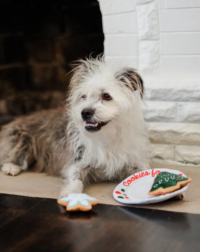Christmas Eve Cookies for Santa Paws Dog Toy Set - Image 8