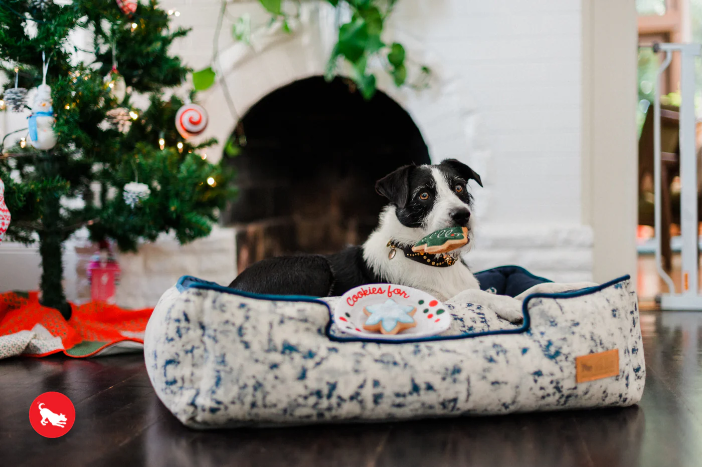 Christmas Eve Cookies for Santa Paws Dog Toy Set - Image 9