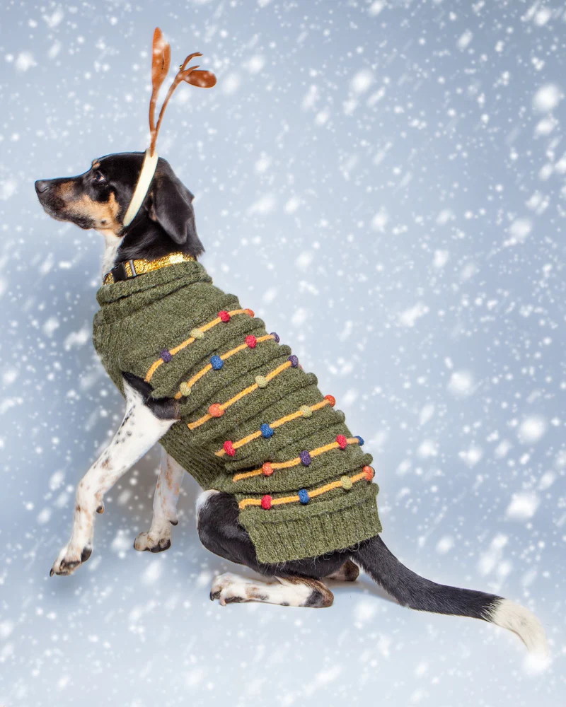 Christmas Tree Hand Knit Dog Sweater - Image 4