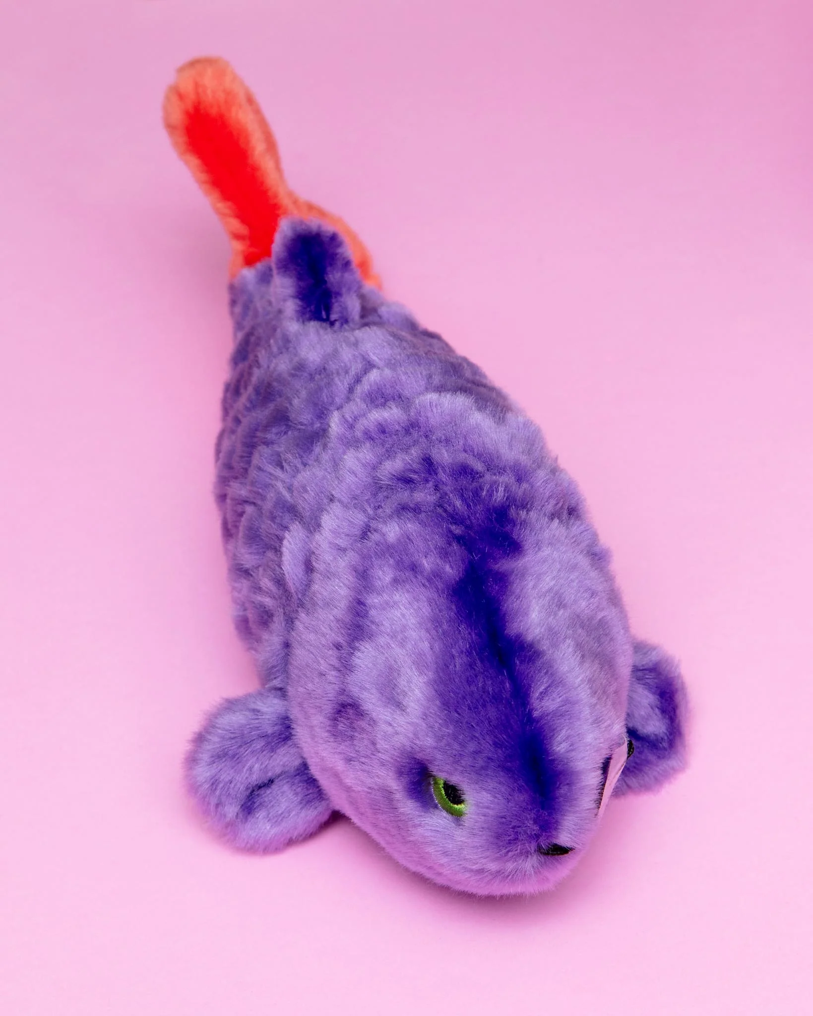 Cici the Tropical Fish Plush Squeaky Dog Toy - Image 2