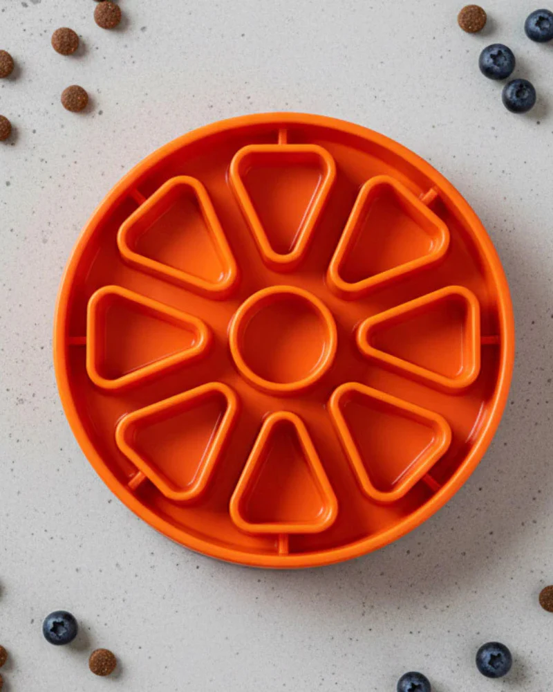 Citrus Softie eTray Shallow Slow Feeder Dog Bowl (Made in the USA) - Image 3