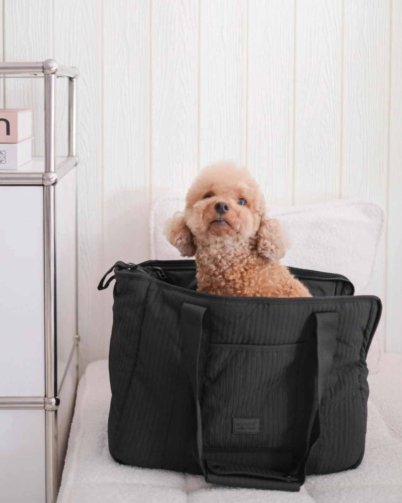 City Carrier Zip-In Dog Bag in Black - Image 2