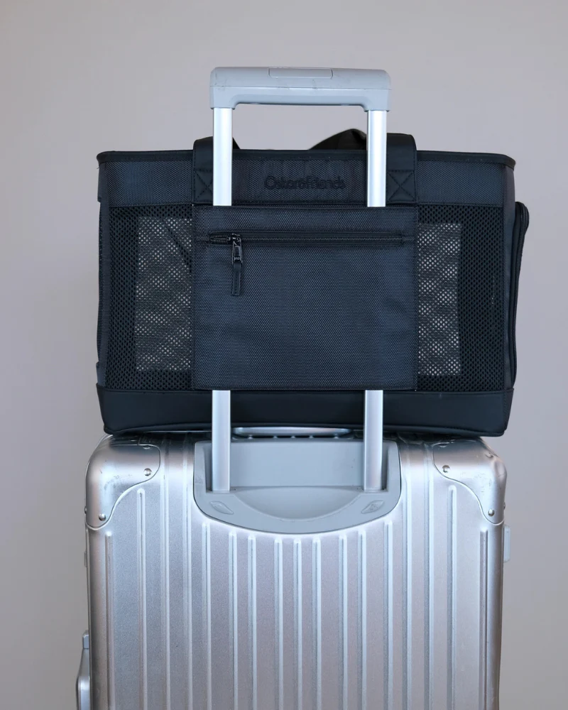 City to Sky Pet Travel Carrier - Image 6