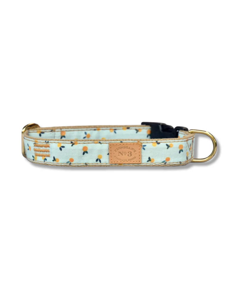 Clementine Dog Collar (Made in the USA)