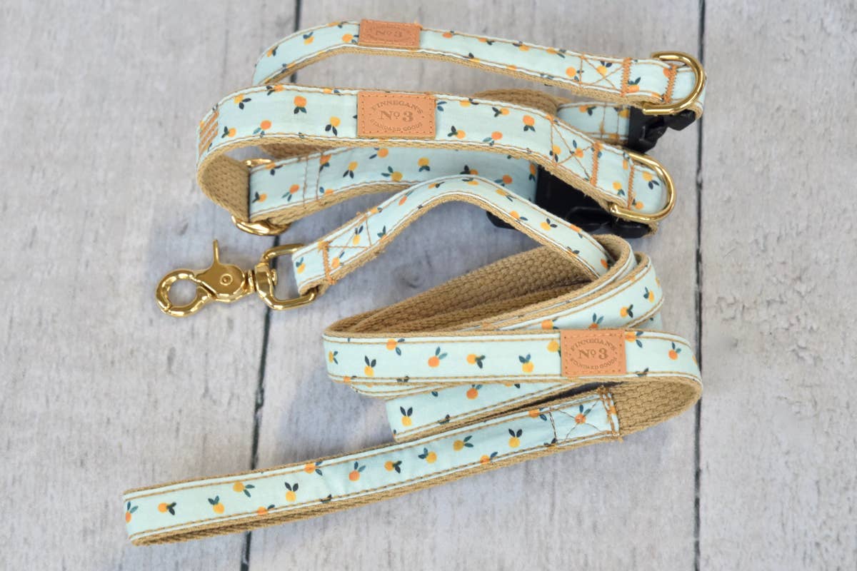 Clementine Dog Collar (Made in the USA) - Image 4