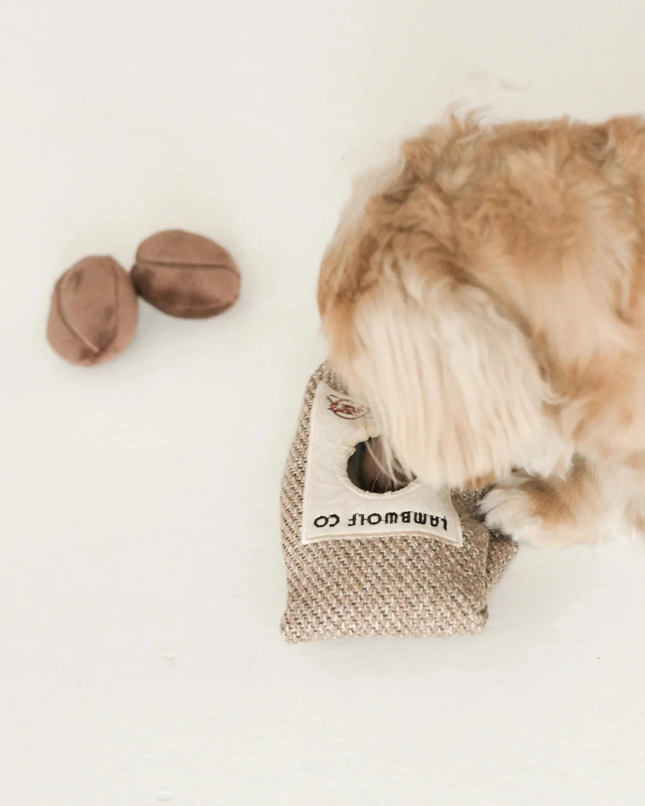 Coffee Beans Enrichment Dog Toy - Image 3