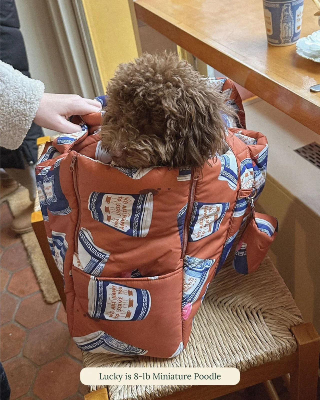 Coffee Cup Dog Carrier (Little Beast x Rachel Antonoff) - Image 6