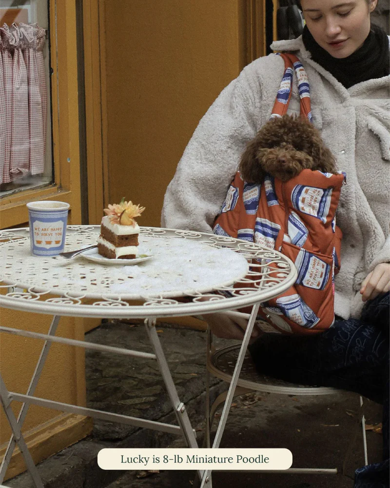 Coffee Cup Dog Carrier (Little Beast x Rachel Antonoff) - Image 7