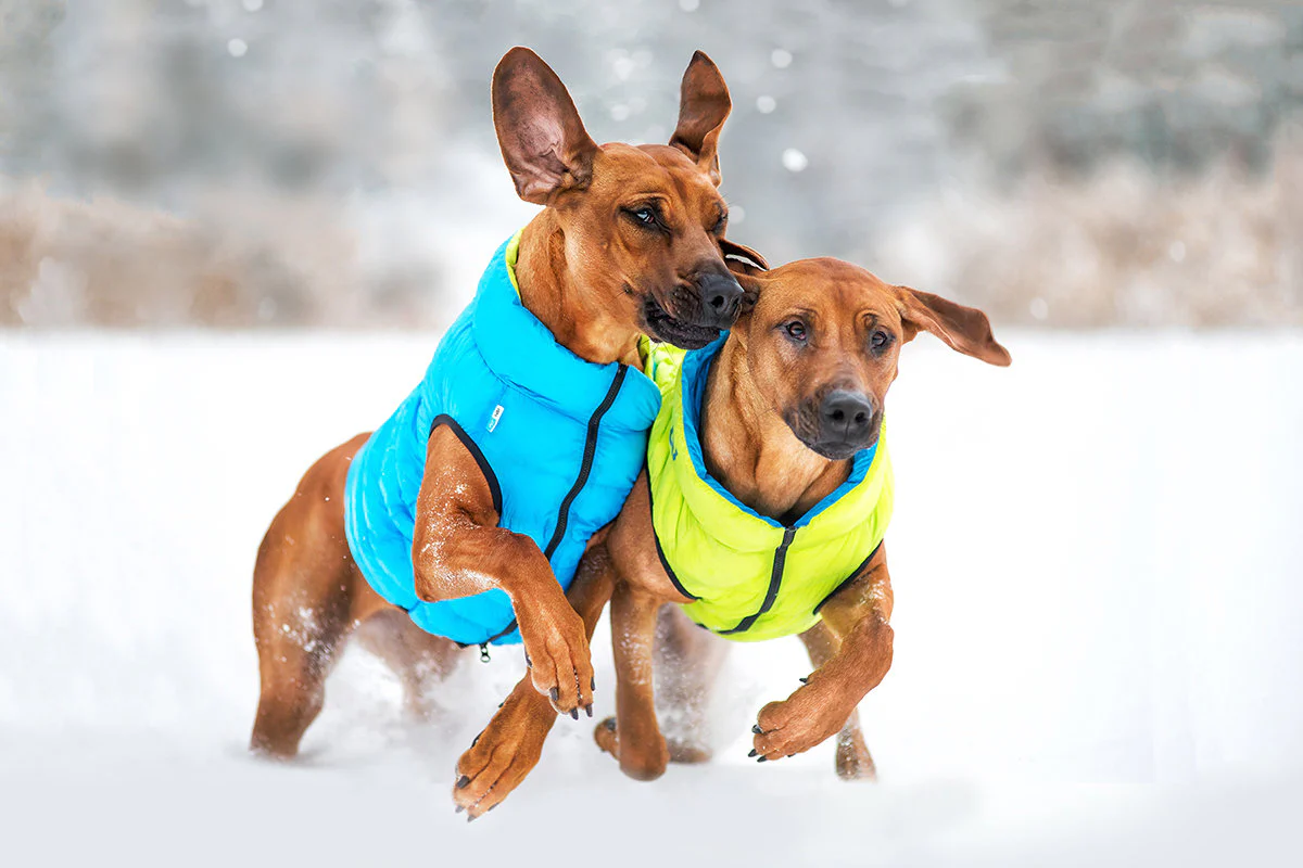 COLLAR BRAND | Reversible AiryVest in Coral and Grey (with Harness Hole) - Image 3