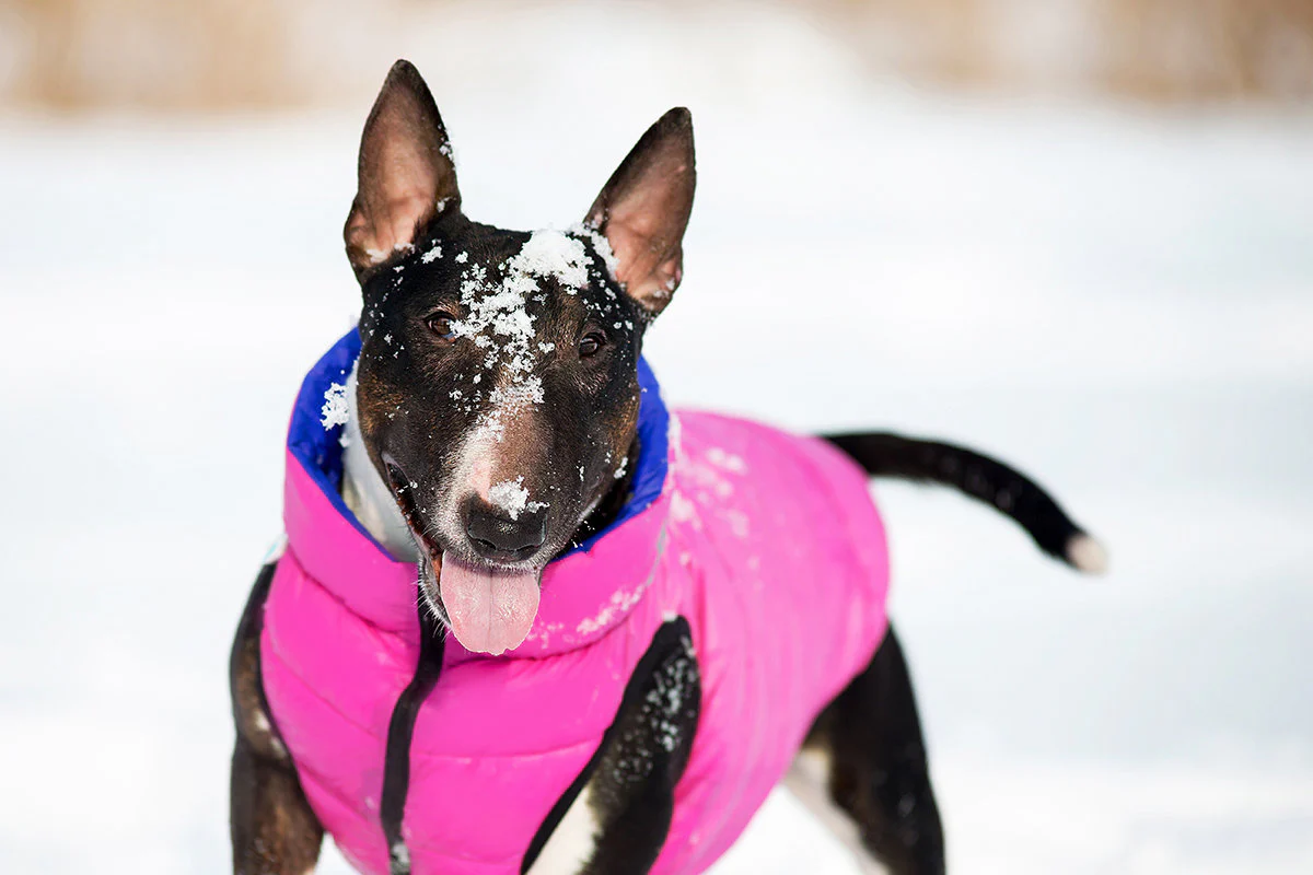 Reversible Puffer AiryVest in Pink and Purple << CLEARANCE >> - Image 4
