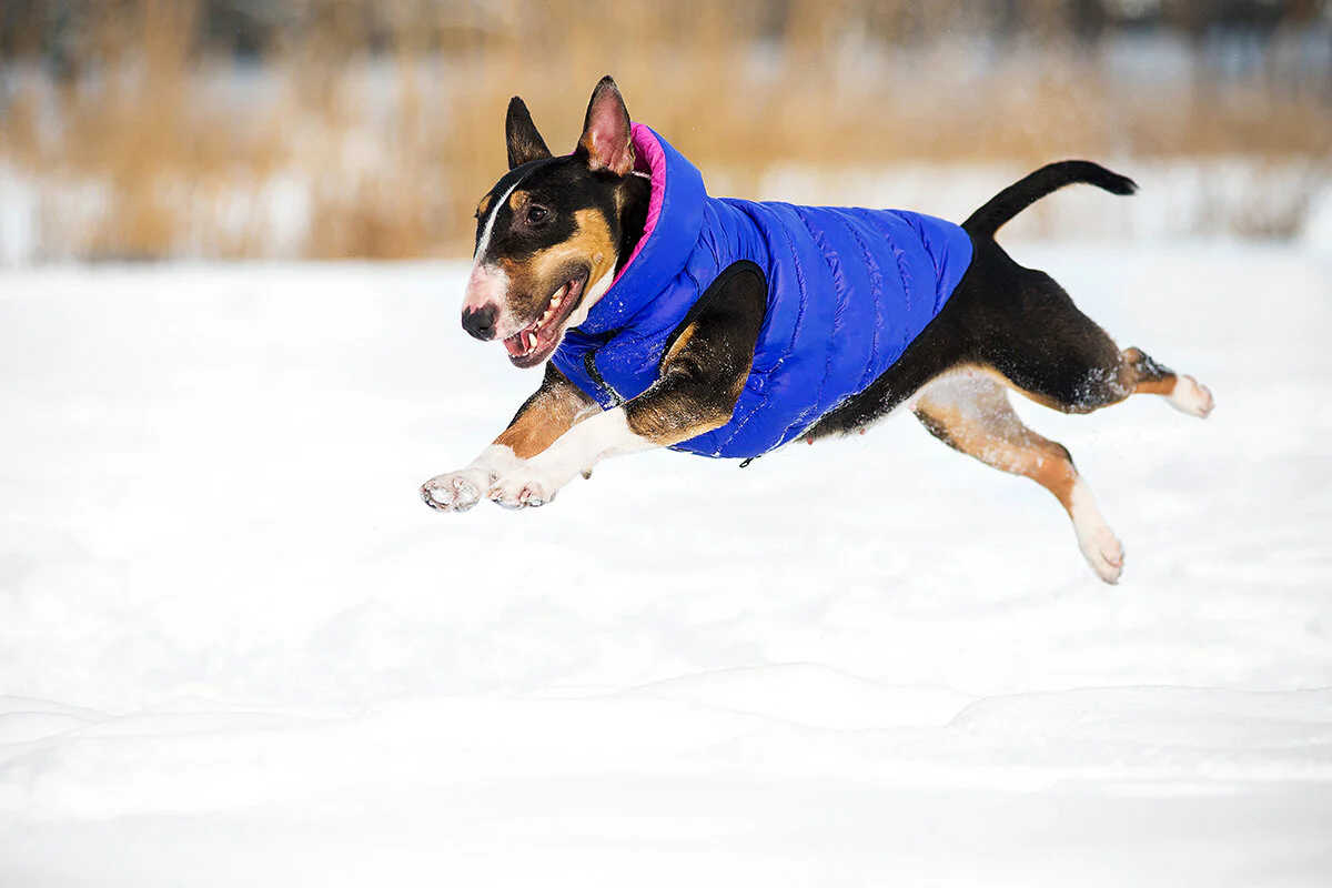 Reversible Puffer AiryVest in Pink and Purple << CLEARANCE >> - Image 6