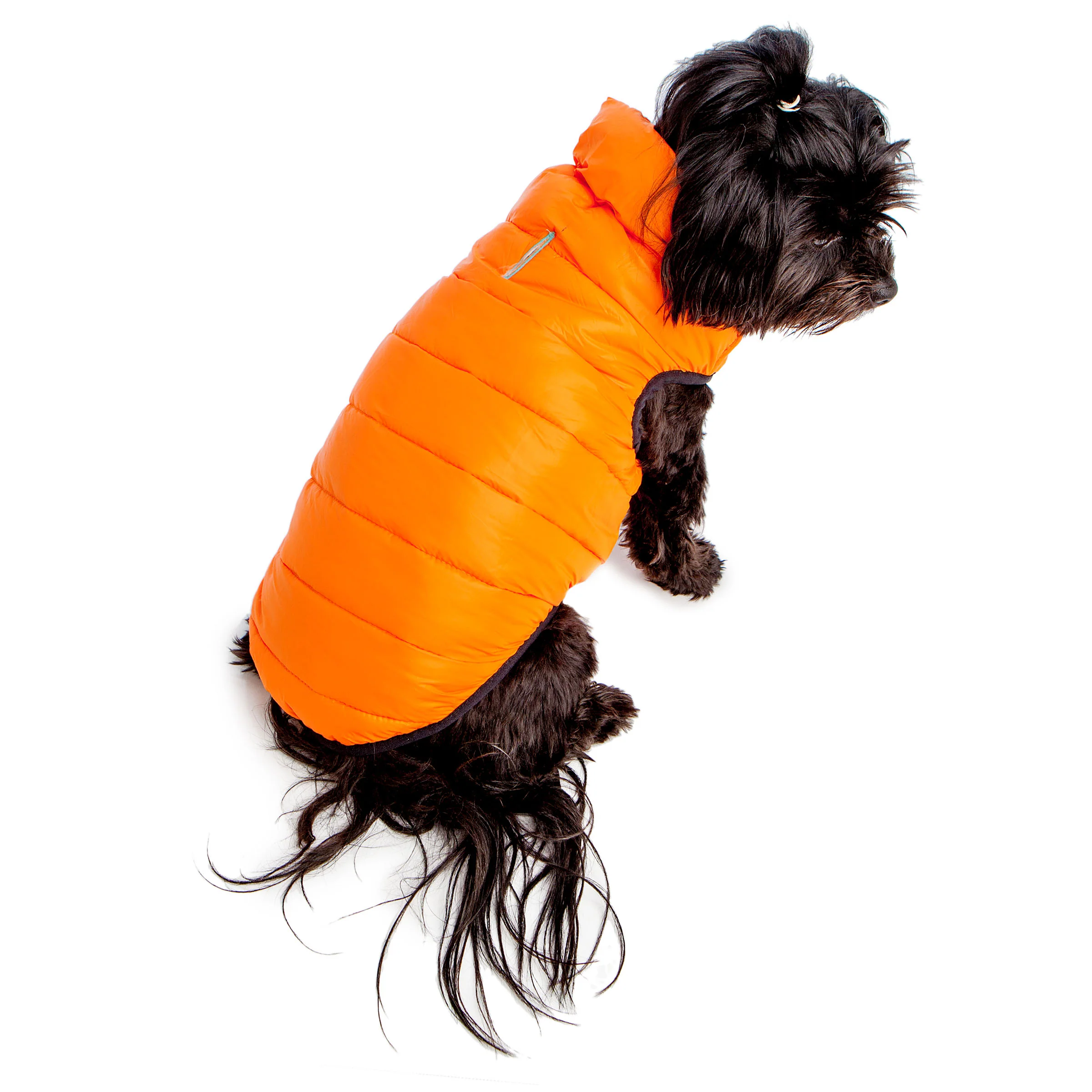 COLLAR BRAND | Reversible AiryVest Lumi in Tangerine + Glow-in-the-Dark Mint (with Harness Hole) - Image 6