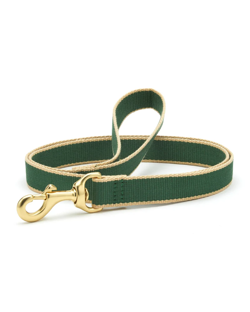 Color Market Dog Leash in Forest & Tan (Made in the USA)