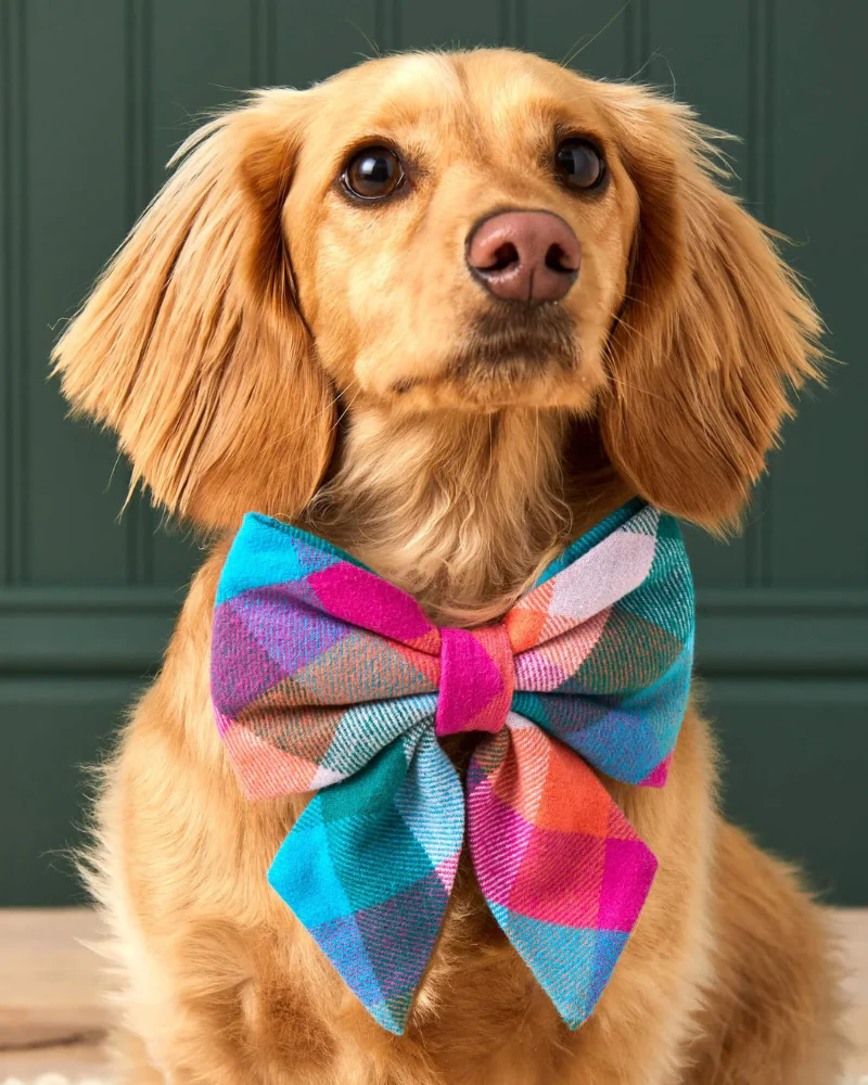 Color Pop Flannel Lady Dog Bow Tie (Made in the USA)