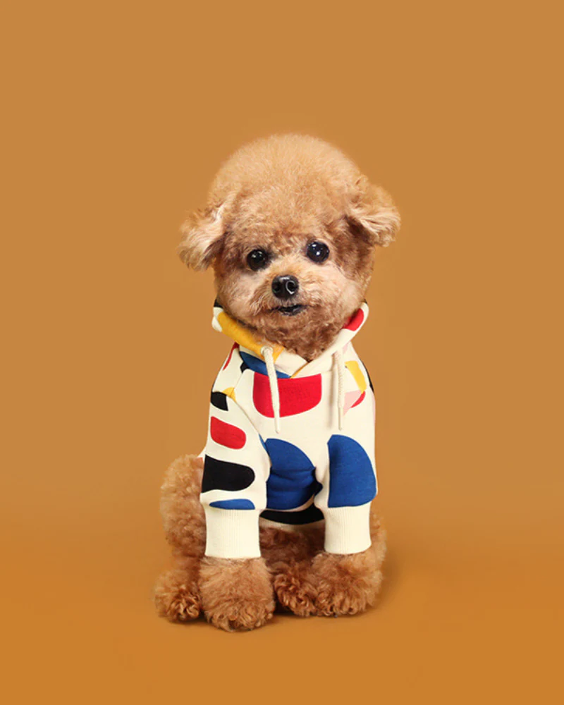 Colorful Design Dog Hoodie in Ivory