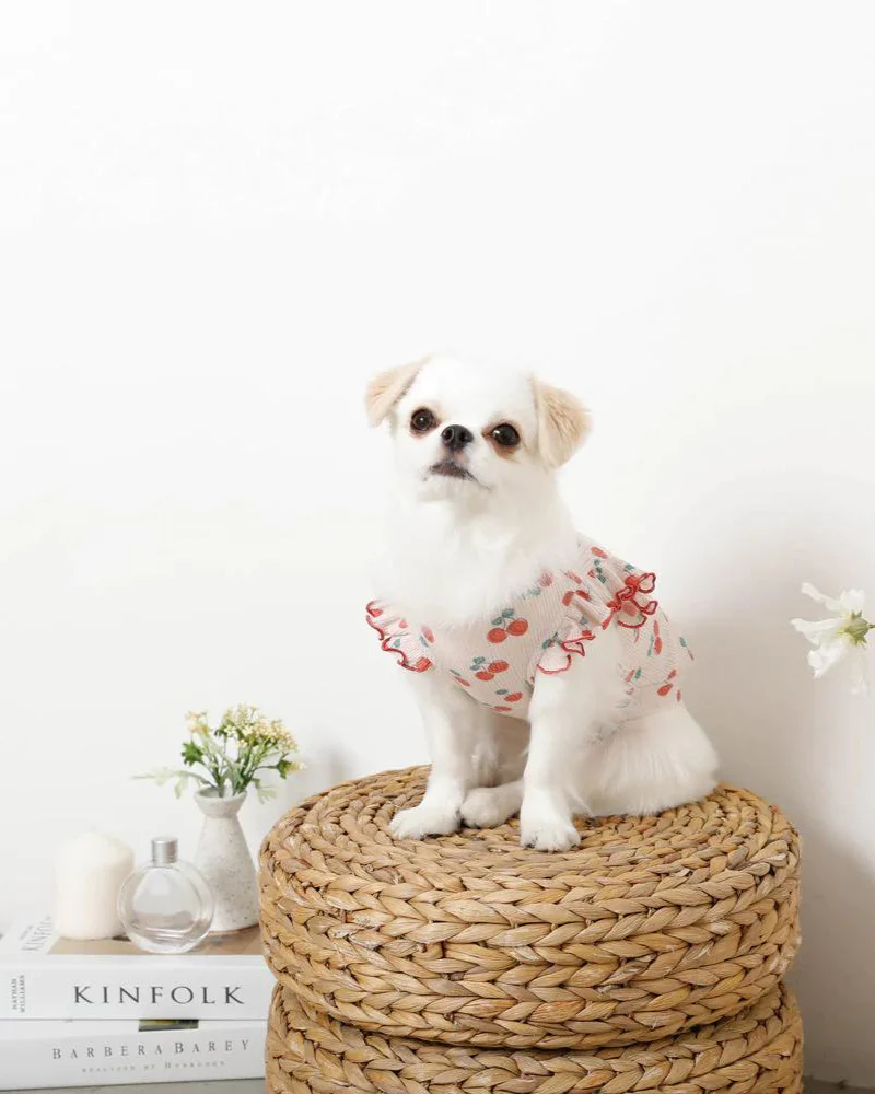 Cool Cherry Shoulder Frill Dog Shirt (FINAL SALE) - Image 6