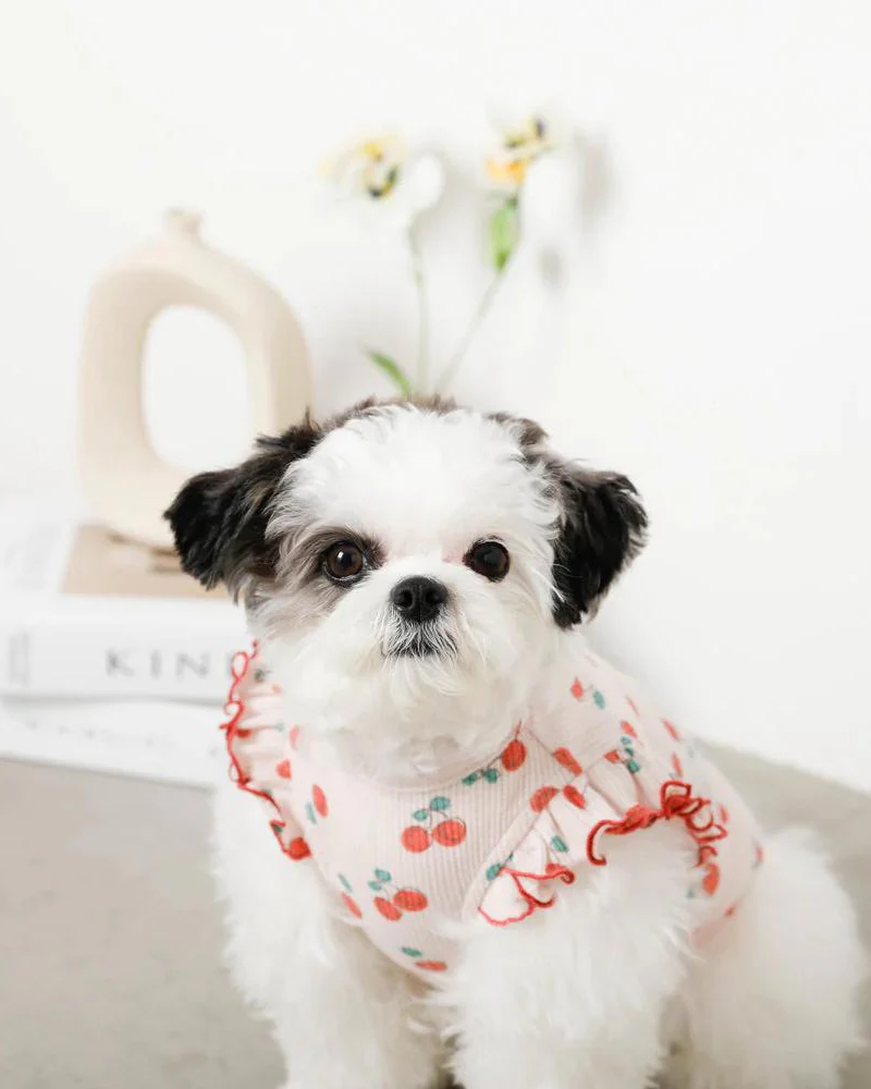 Cool Cherry Shoulder Frill Dog Shirt (FINAL SALE) - Image 9