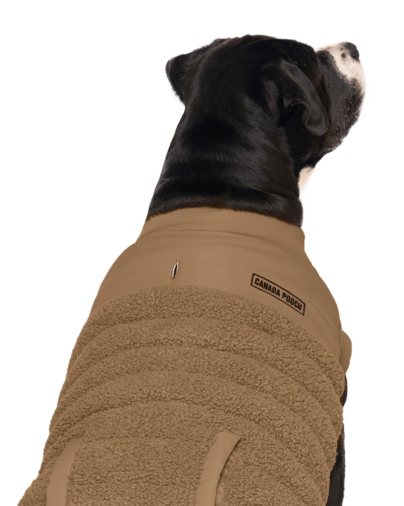 Cool Factor Dog Puffer Jacket in Tan (FINAL SALE) - Image 4