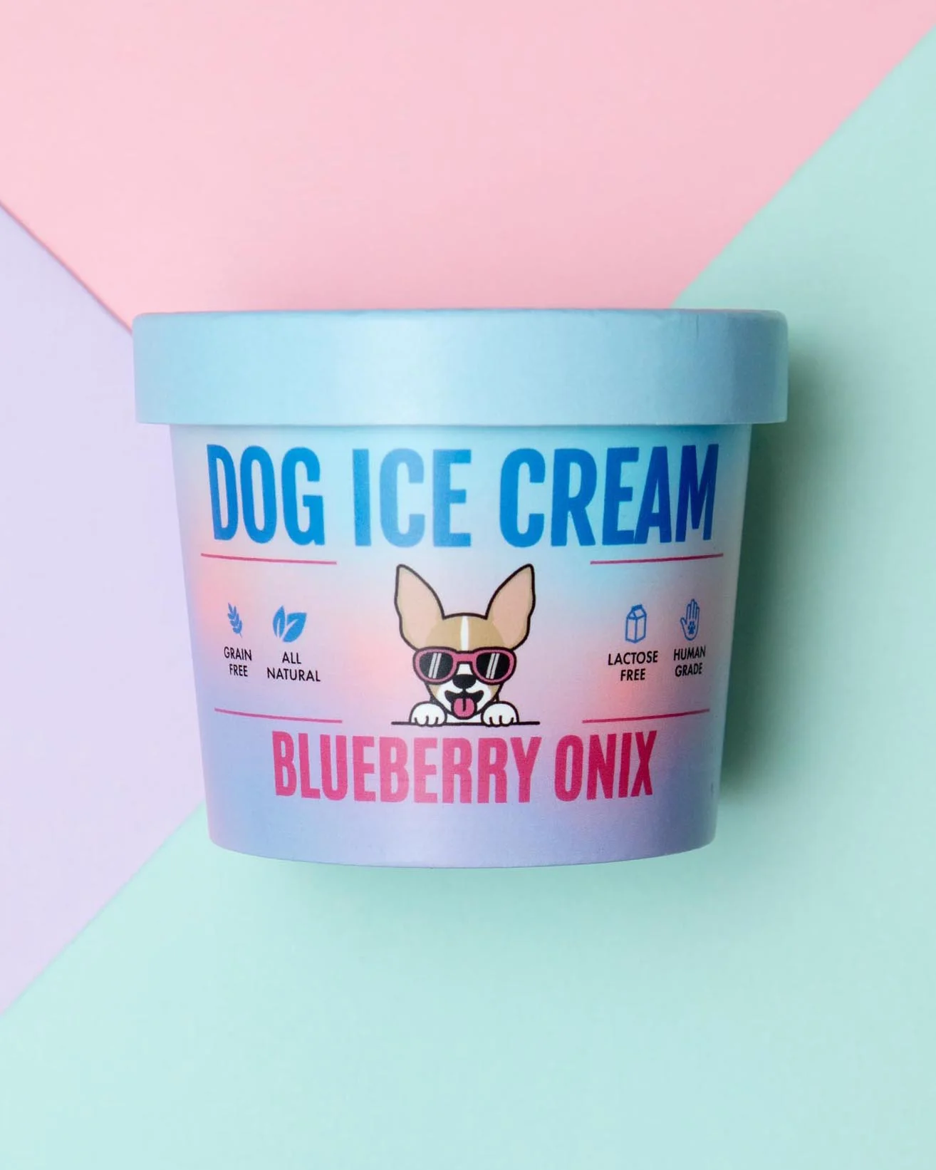 Blueberry Onix Human Grade Dog Ice Cream Mix (Lactose-Free)
