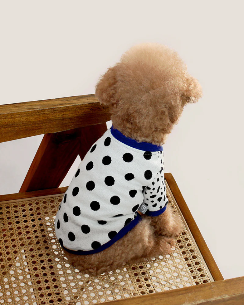 Dalmatian Dot Cardigan for Dogs (FINAL SALE) - Image 3