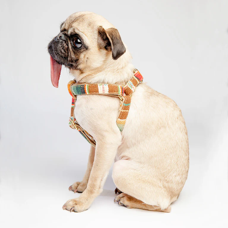 FINNEGAN'S STANDARD GOODS | Sunset Harness - Image 2