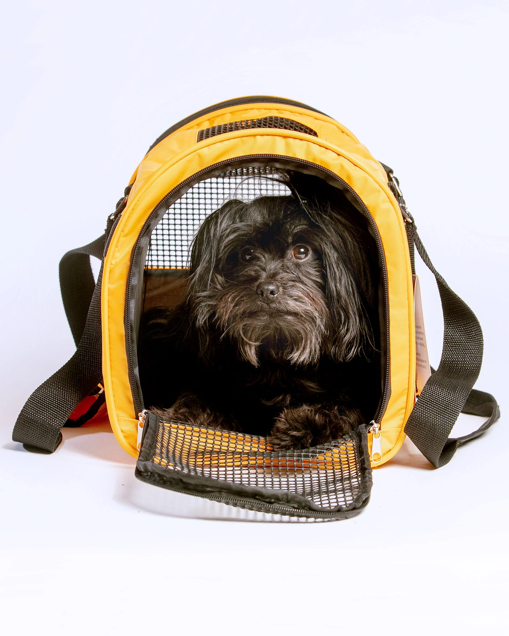 Jet Carrier Pet Carrier in Tangerine (Airline Approved)