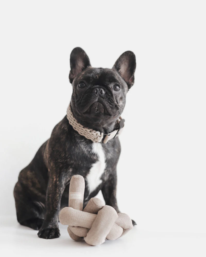 NouNou Interactive Dog Toy in Tan