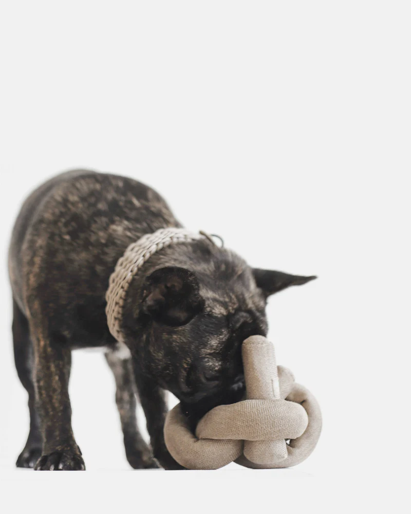 NouNou Interactive Dog Toy in Tan - Image 3