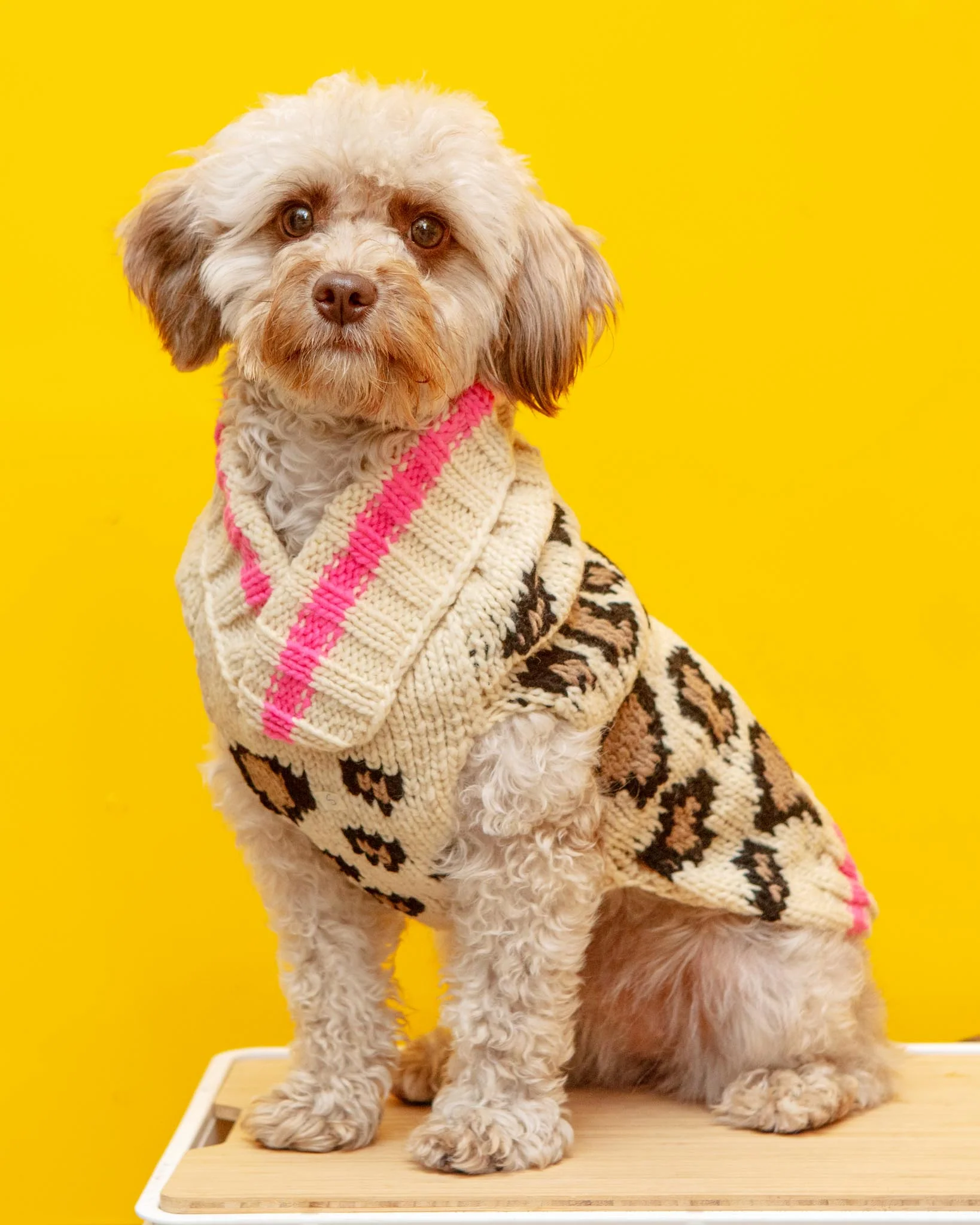 Leopard Print Dog Sweater (FINAL SALE)