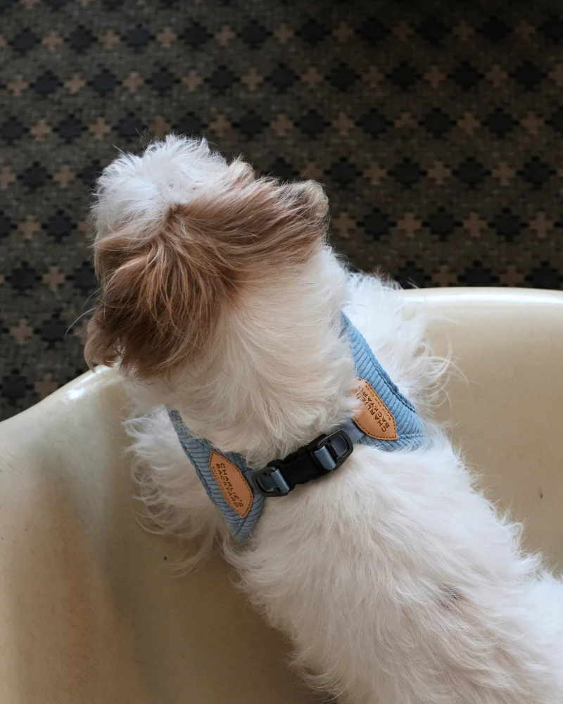 "Roy" Corduroy Buckle Up Easy Dog Harness in Baby Blue - Image 4