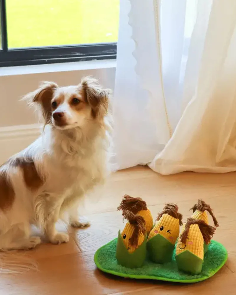 Corn Maze Snuffle Dog Toy - Image 5