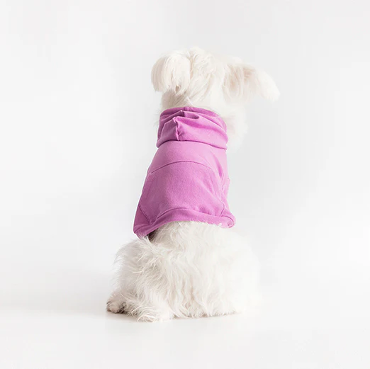COTE A COTE | Crop Hoodie in Lilac - Image 2