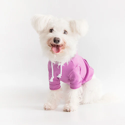 COTE A COTE | Crop Hoodie in Lilac - Image 3