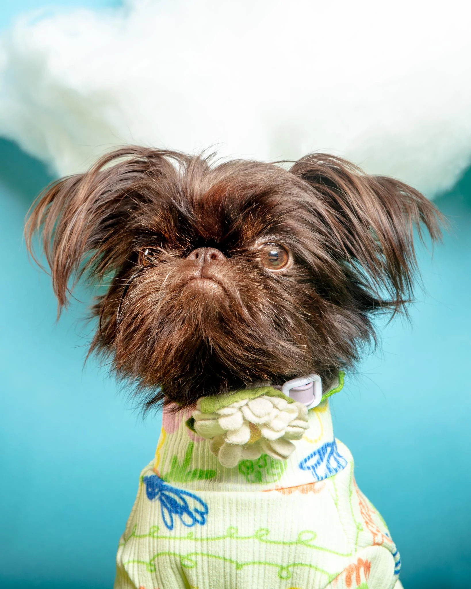 Garden Lettuce Dog T-Shirt (FINAL SALE) - Image 11