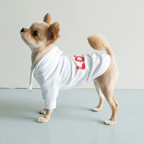 COTE A COTE | Love Hoodie in White - Image 4