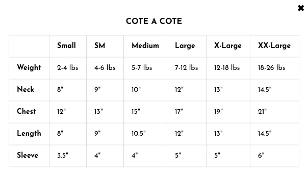 COTE A COTE | Love Hoodie in White - Image 5
