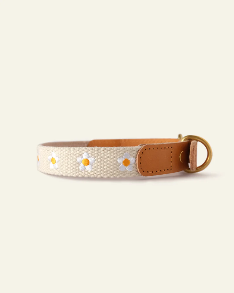 Cotton + Leather Daisy Dog Collar