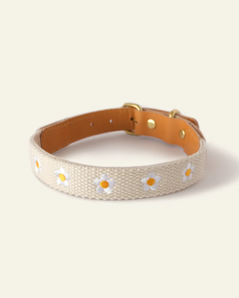 Cotton + Leather Daisy Dog Collar - Image 2