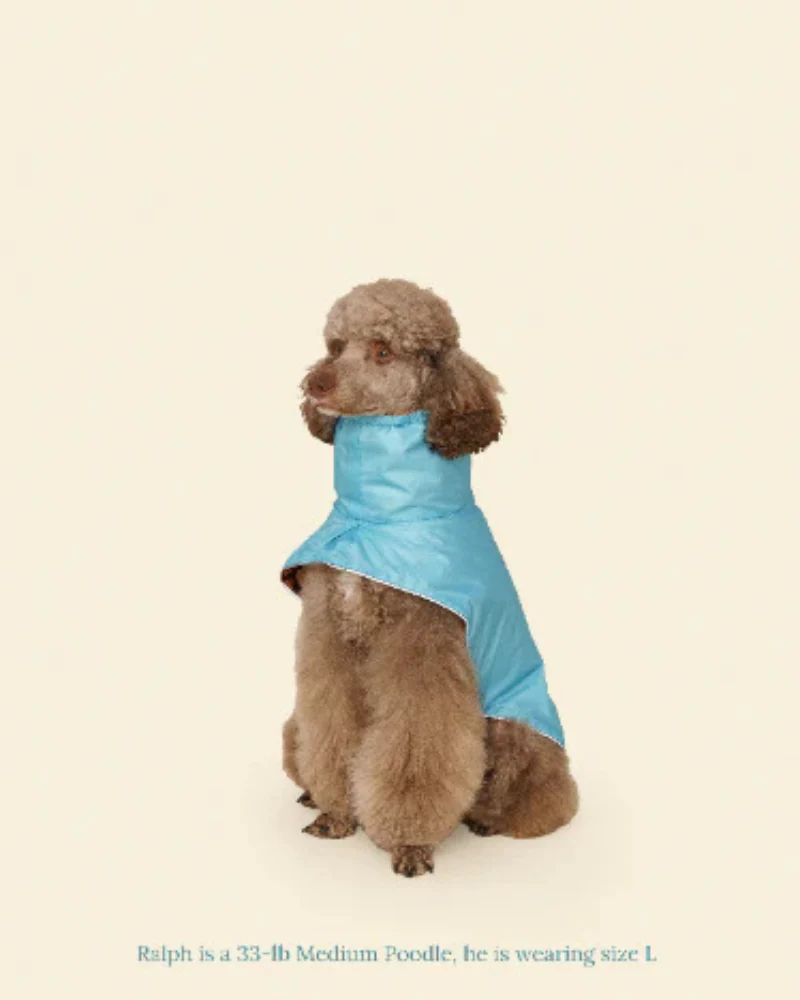 Cougar Dog Raincoat - Image 2