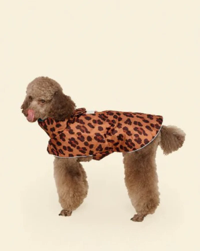 Cougar Dog Raincoat - Image 3