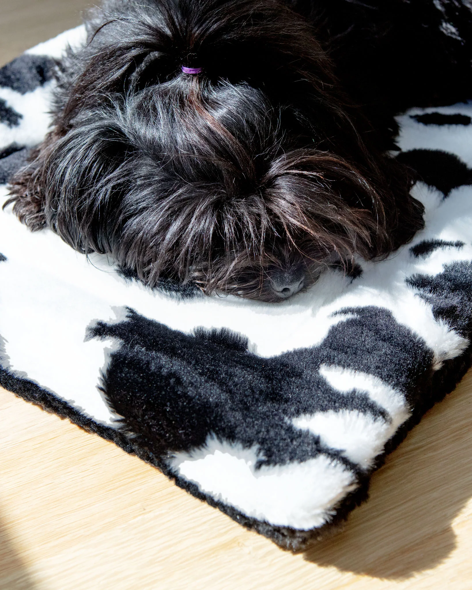 Cow Print & Plush Pet Napping Mat (Made in the USA) (FINAL SALE) - Image 2