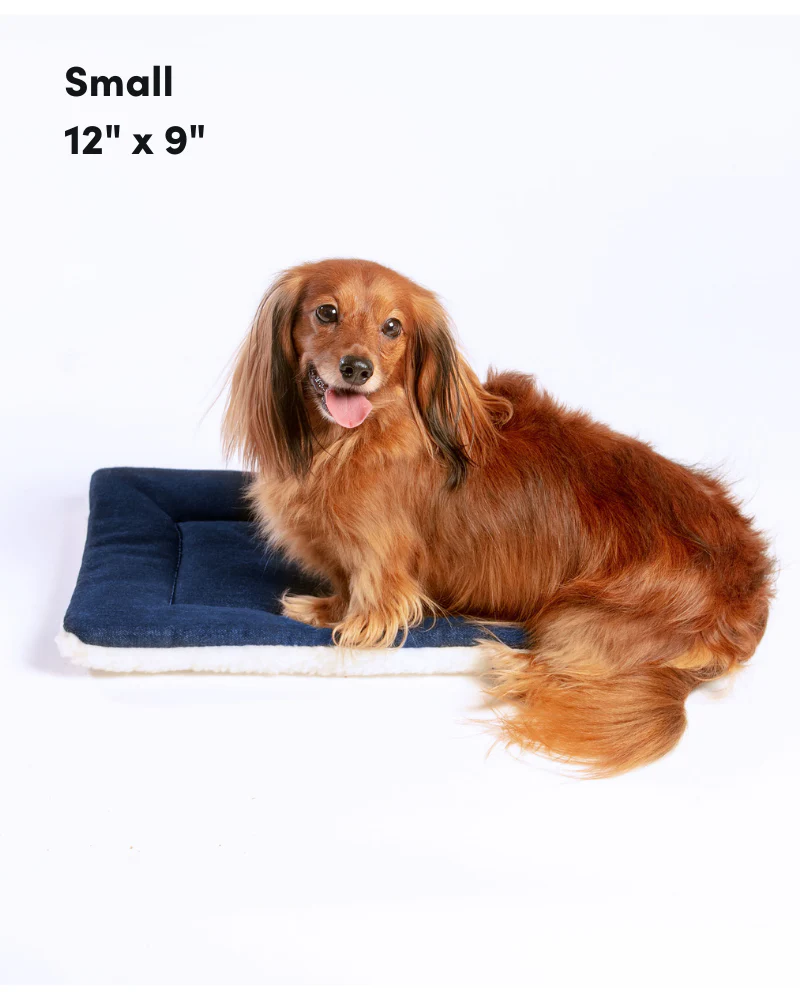 Cow Print & Plush Pet Napping Mat (Made in the USA) (FINAL SALE) - Image 6