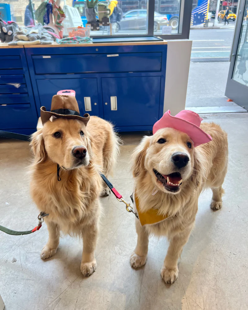Cowboy Dog Hat Toy (FINAL SALE) - Image 4